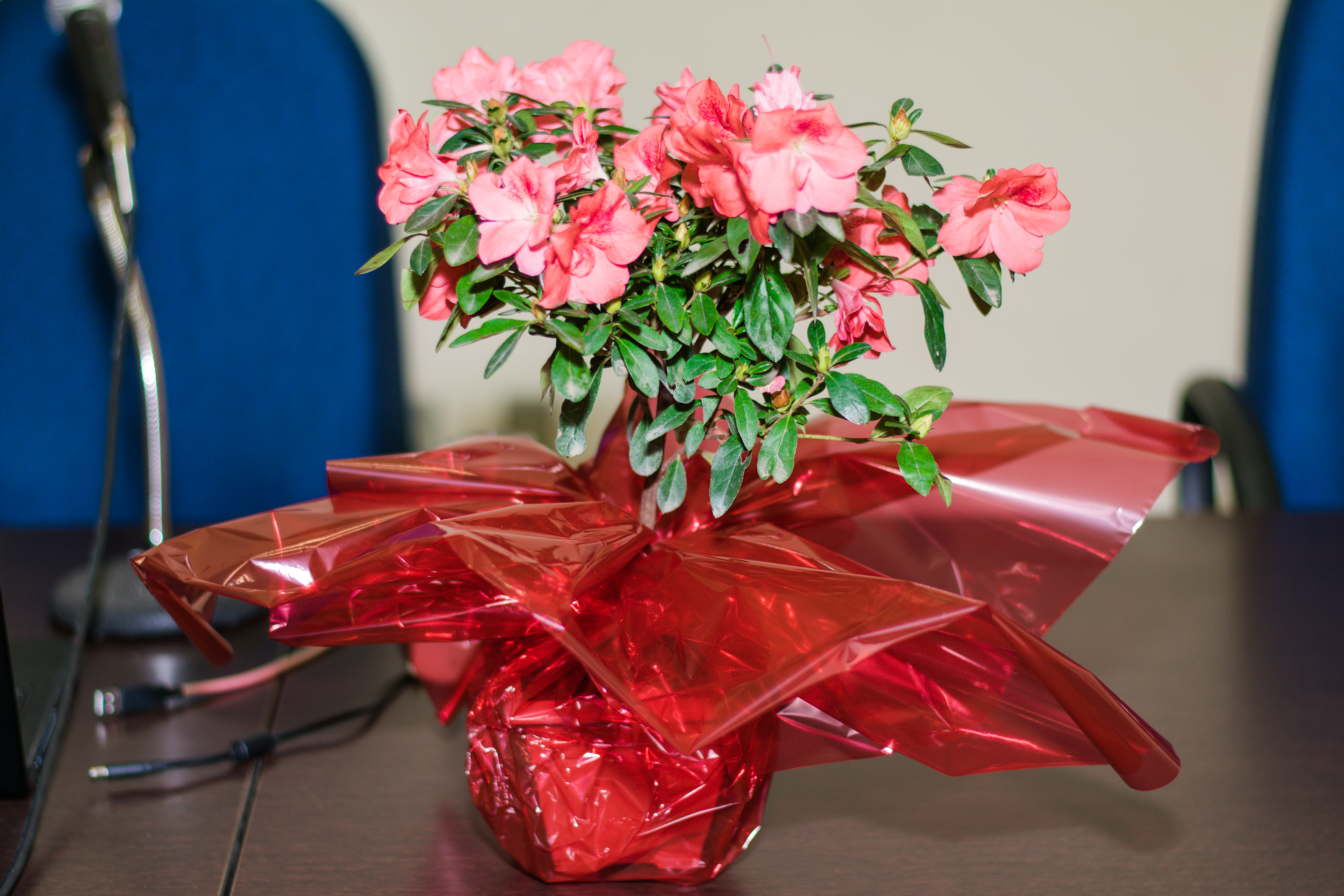 Sessão Solene - Festa Municipal - 2017 (2)