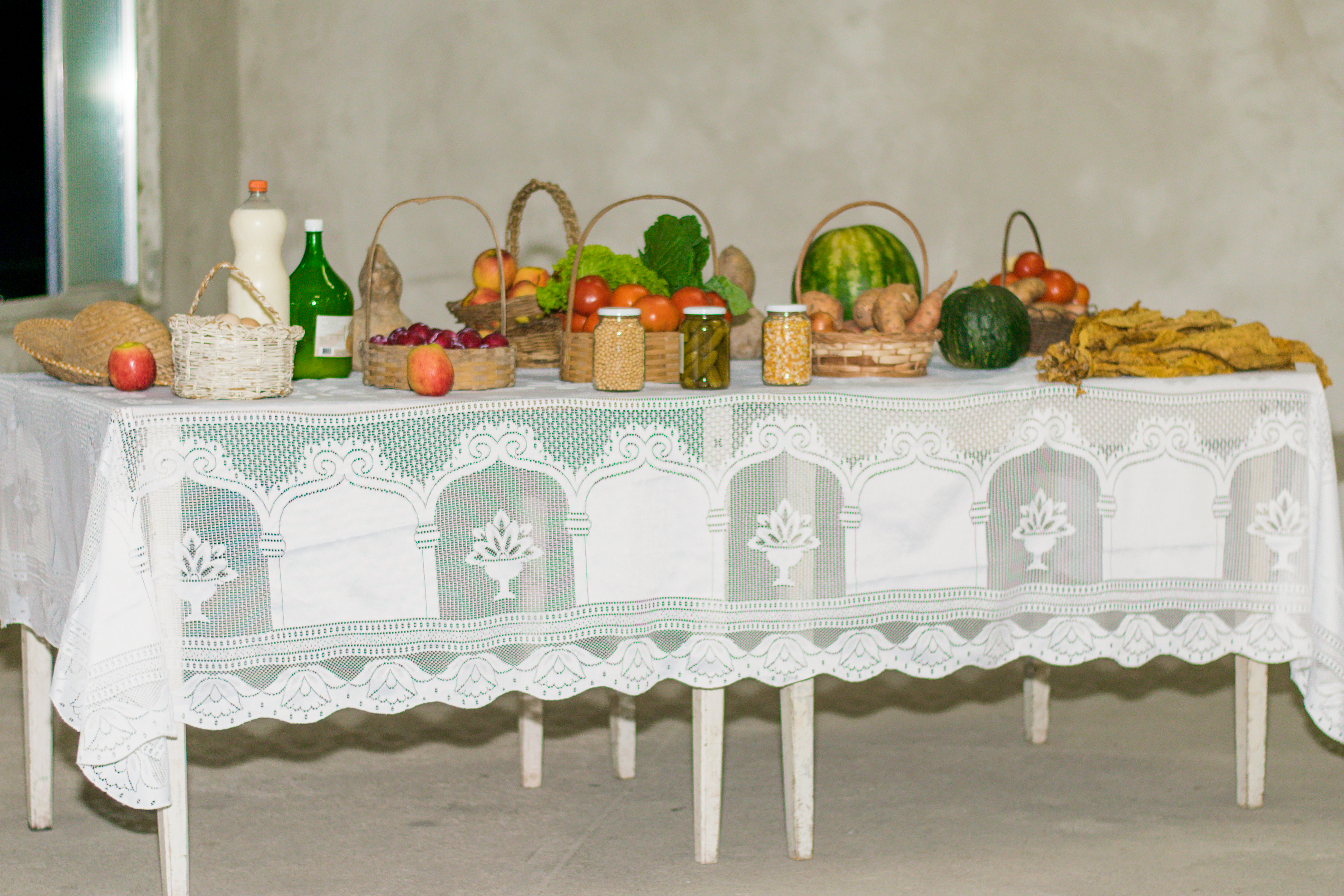 Mesa posta na Audiência Pública sobre a Reforma da Previdência, representa os produtos e alimentos produzidos pelos agricultores