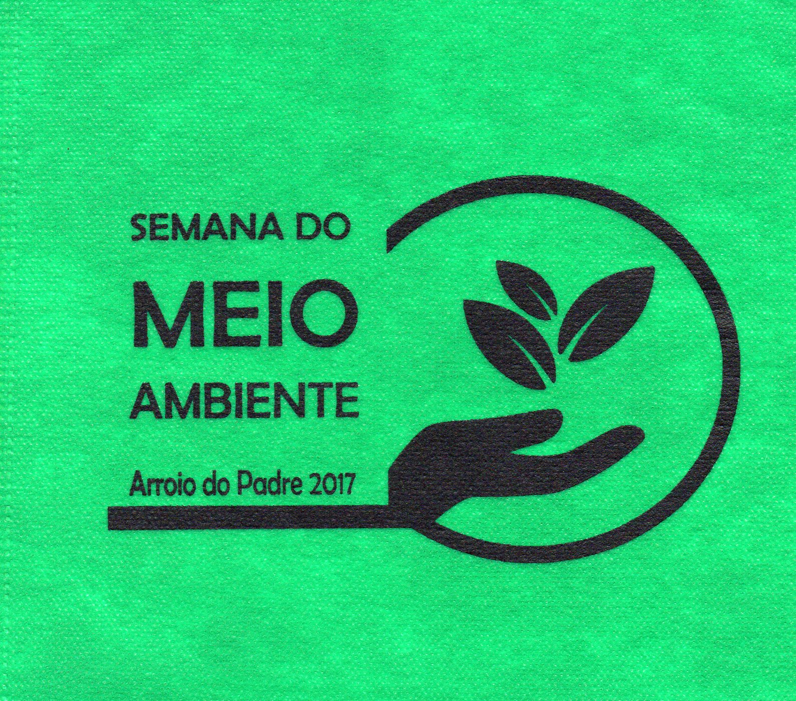 Semana do meio ambiente em Arroio do Padre