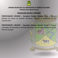 Proposições do dia 11 08 2025